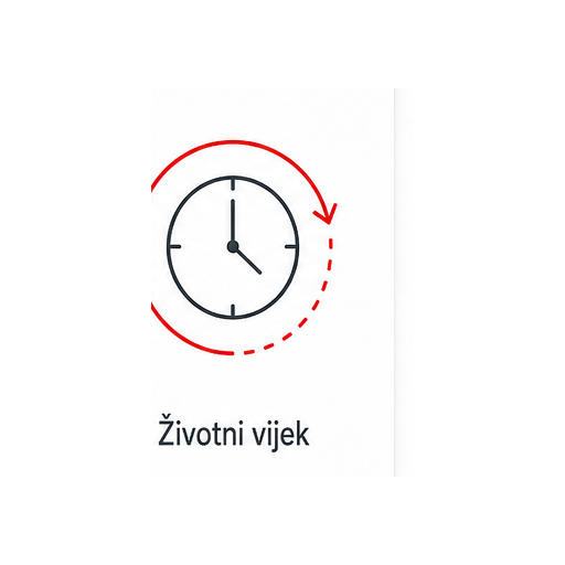 Vijek