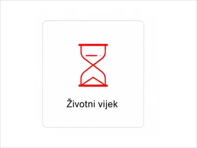 Vijek